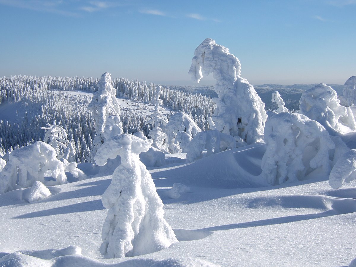 feldberg taunus schnee woodenbild ) feldberg taunus schnee woodenbild )