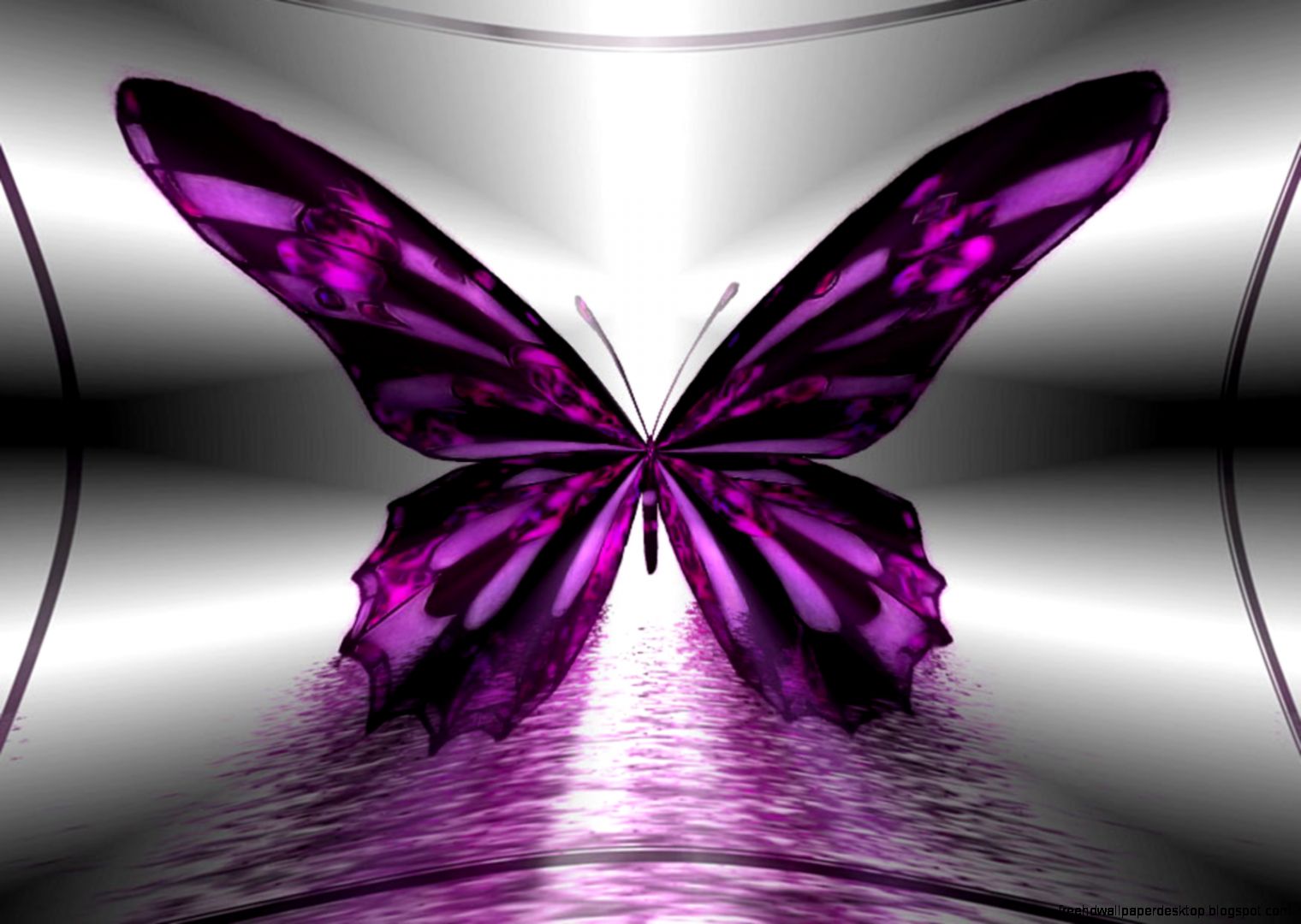 Purple Butterflies