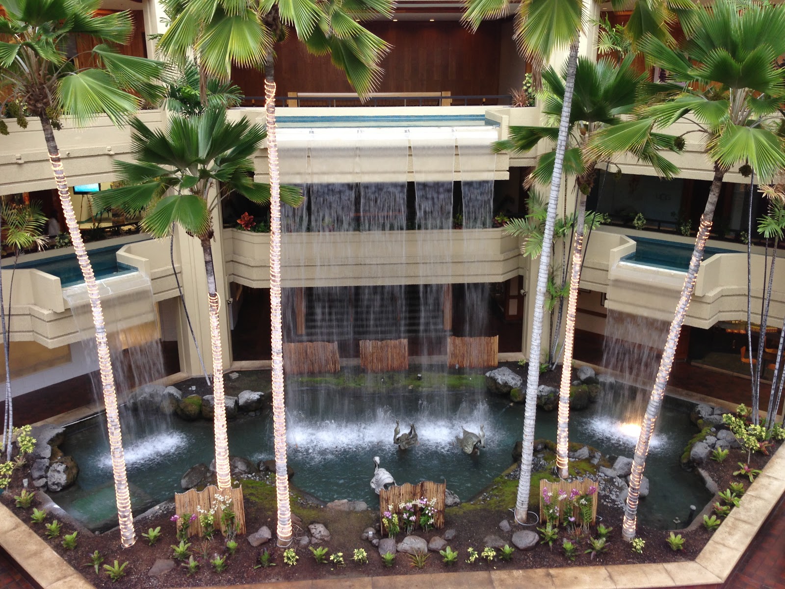 GREAT EATS HAWAII SHOR AMERICAN SEAFOOD GRILL HYATT REGENCY WAIKIKI