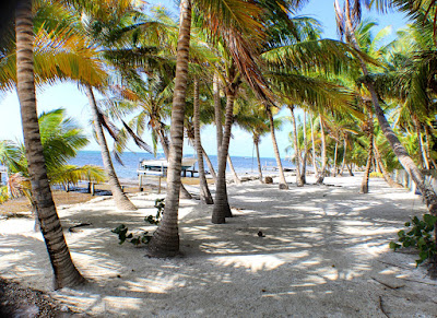 Remaxvipbelize - Paco's Tiki Bar