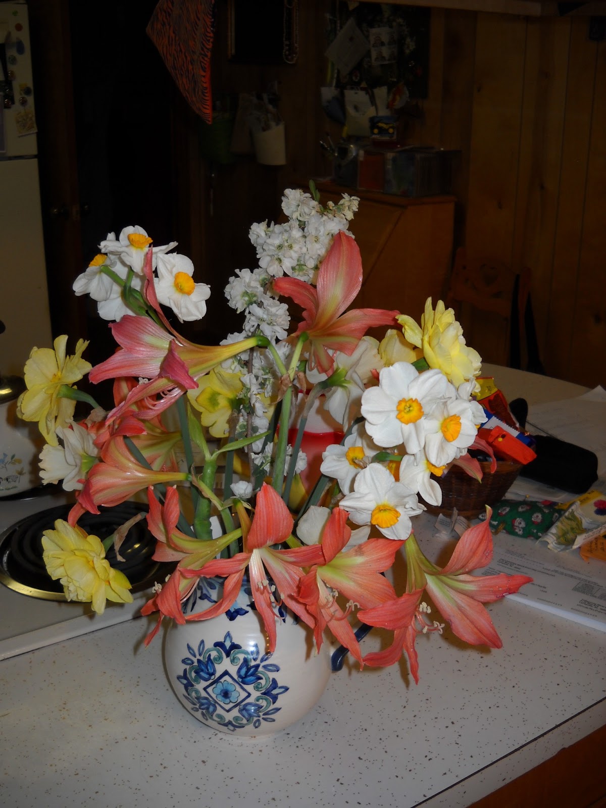 Gold Hill Plant Farm Daffodils ,Etc for Easter