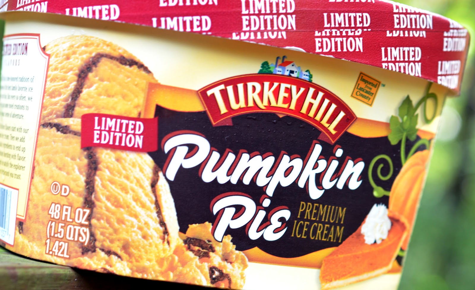 food and ice cream recipes REVIEW Turkey Hill Pumpkin Pie (Limited Edition)