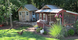 chicken coop bedding sand flies litter chickens around chick coops run tips superstar types different droppings plans yard floor animals