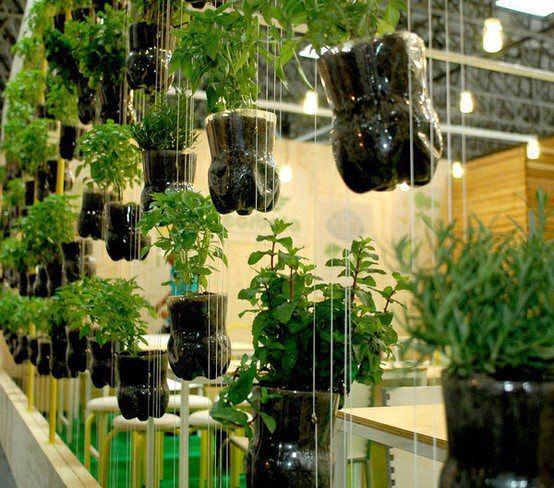 30 Hanging and wall garden ideas for your decor - Diy Fun World