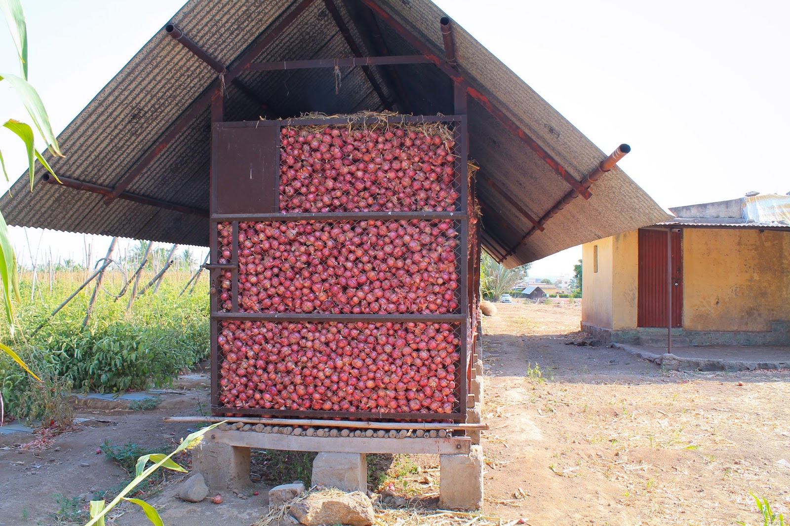 TRAVELLING ACROSS INDIA A NEVERENDING JOURNEY. NASHIK THE ONION