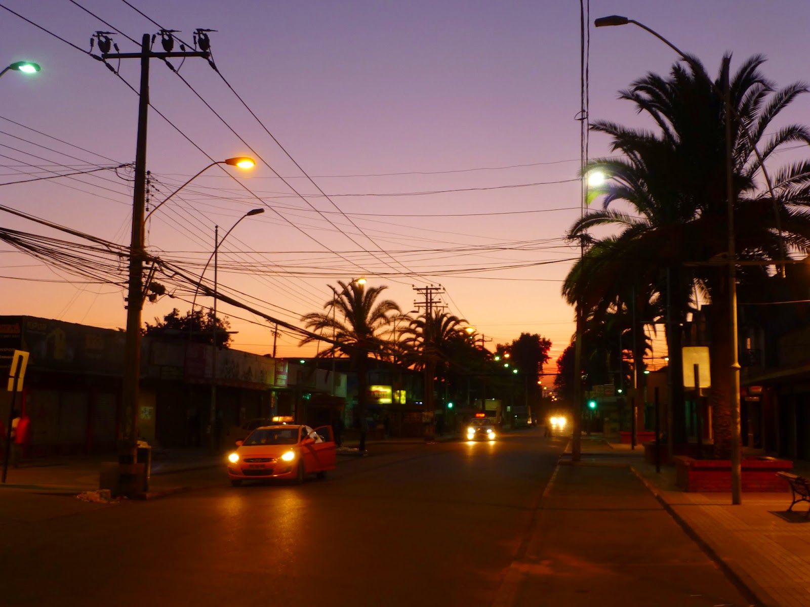 hähnchenknochen_hund — Mein Leben mit Hund