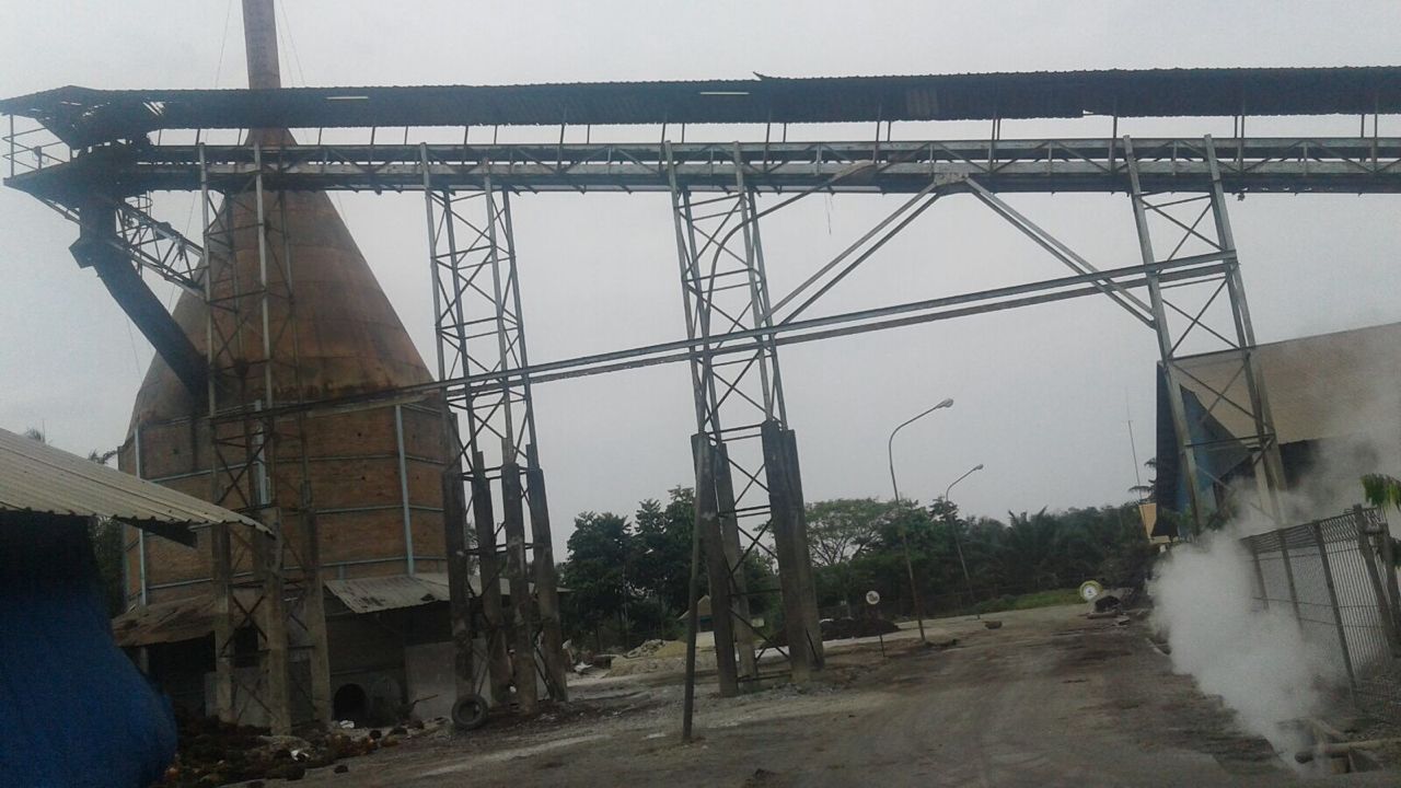 Proccesing Palm Bunch Ash Palm Bunch Ash