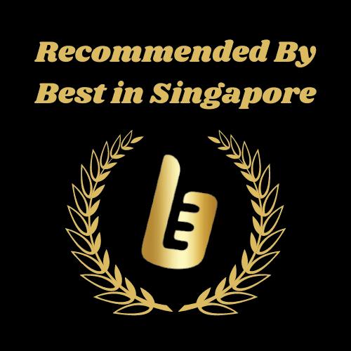 BESTINSINGAPORE.COM