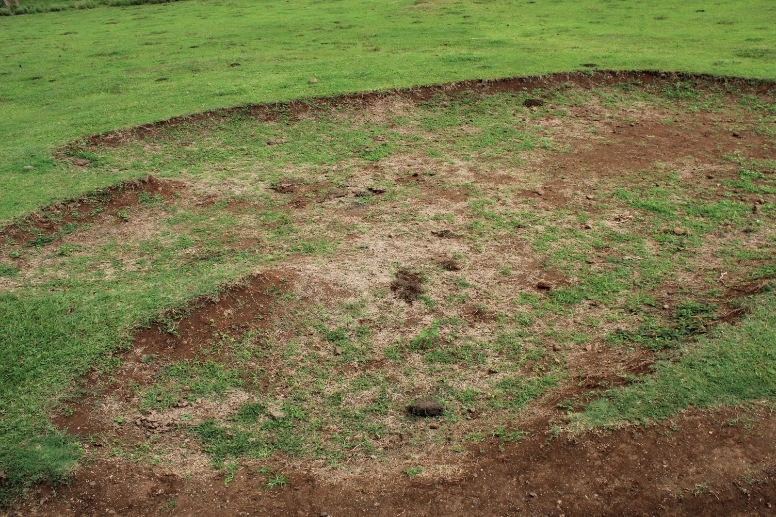 Hawai'i Topher: Kualoa Movie Tour...