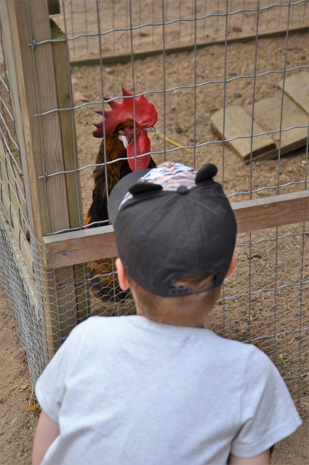 musta crackhead suihin