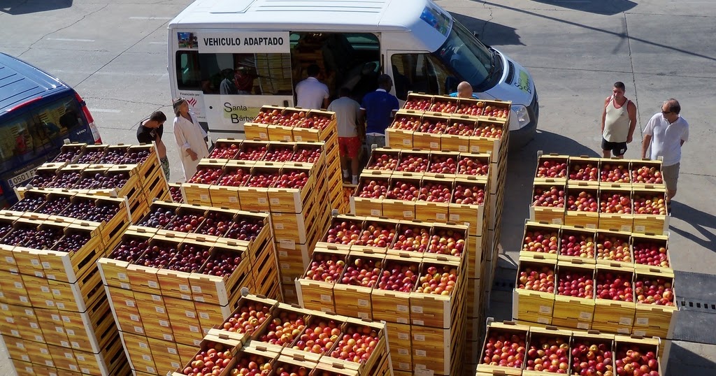 Sala virtual de prensa del Banco de Alimentos de Córdoba Reparto de fruta en verano