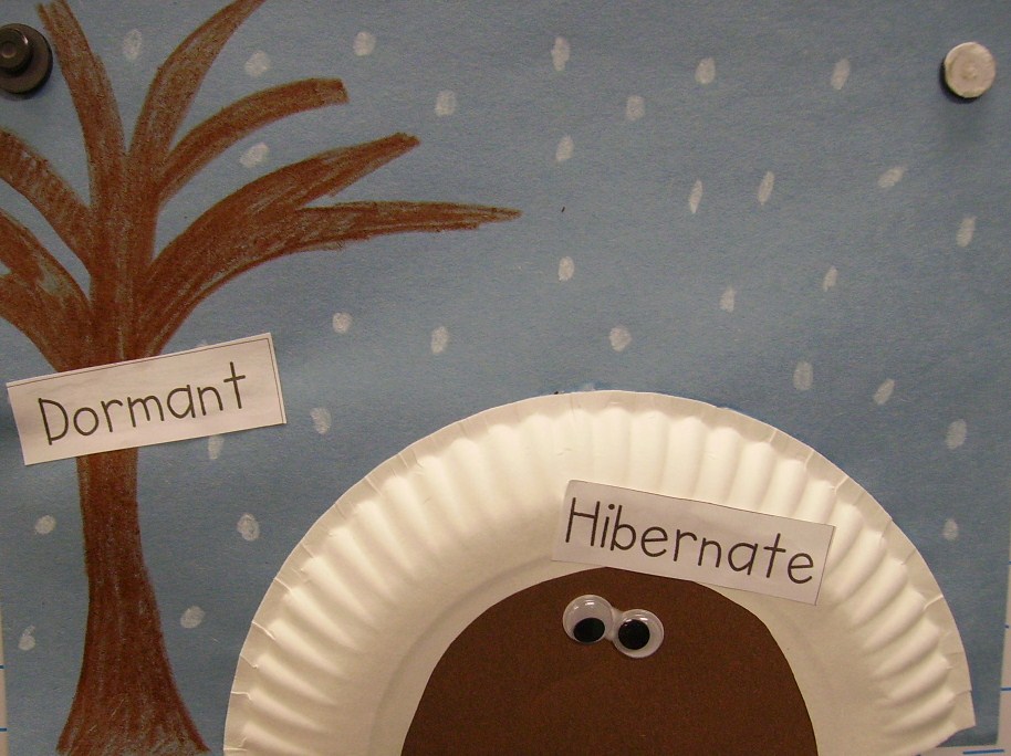Kopy Kat Kinders Do Trees Hibernate?