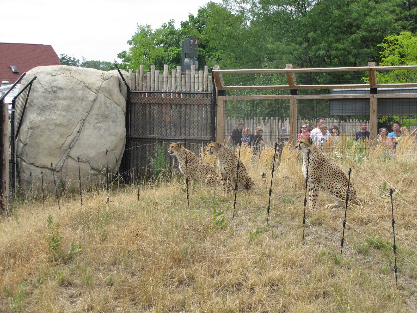 Indianapolis Zoo