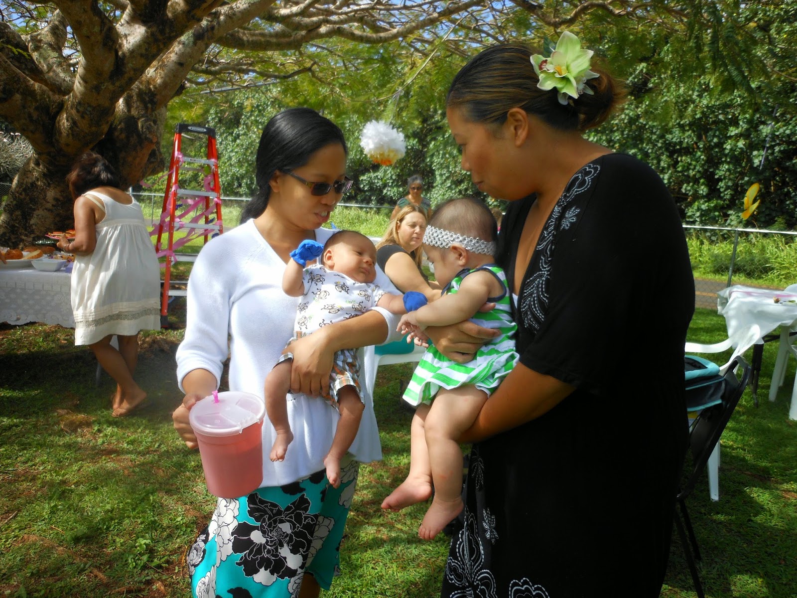 Lawai Valley Family Ministries What Can You Do for Your Church?