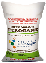 Jejak Si Berlin Anak Rantau