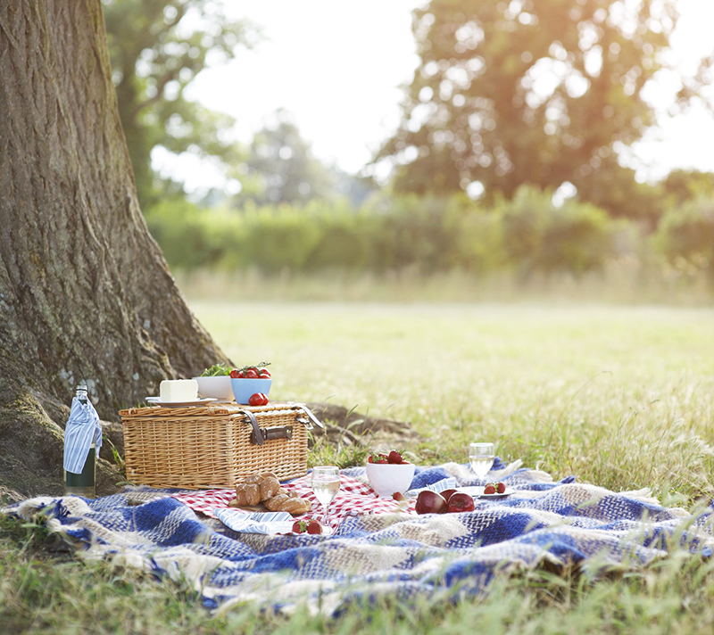 Una zona chill out o un picnic en el campo... ¿Qué necesitamos para
