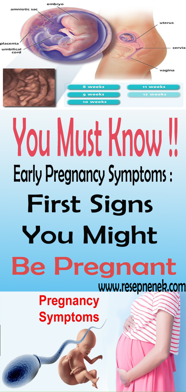 Early Pregnancy Symptoms First Signs You Might Be Pregnant Recipes Panggil Me