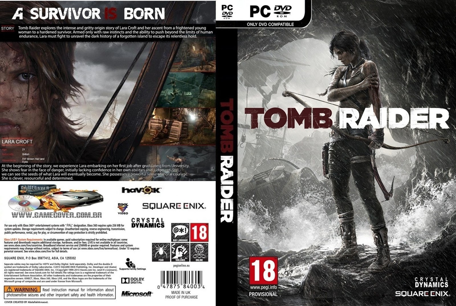 Capa do Jogo Tomb Raider PC Capas de DVDs Capas de Filmes e Capas
