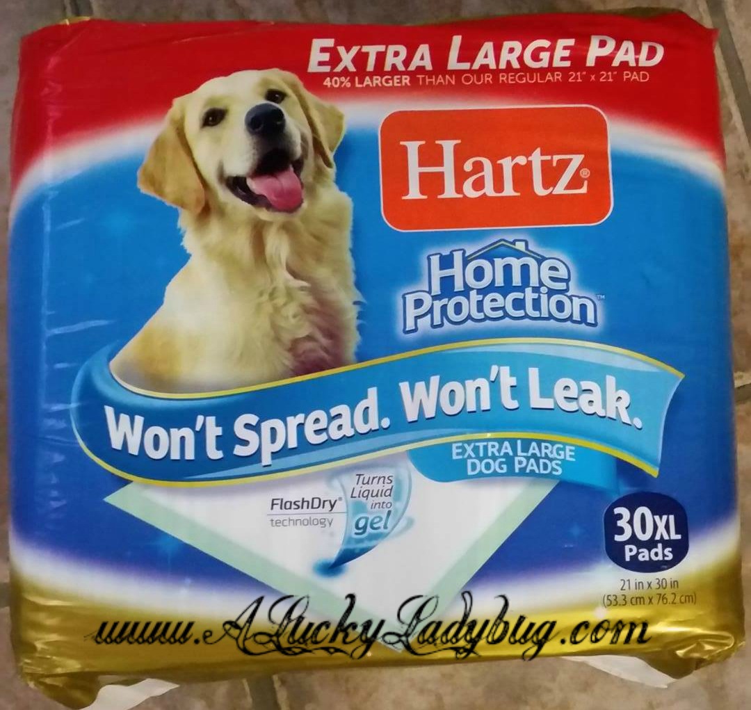 A Lucky Ladybug Hartz Pet Products