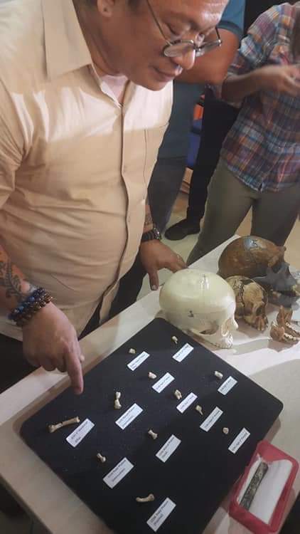 New species of ancient human discovered in Philippine cave