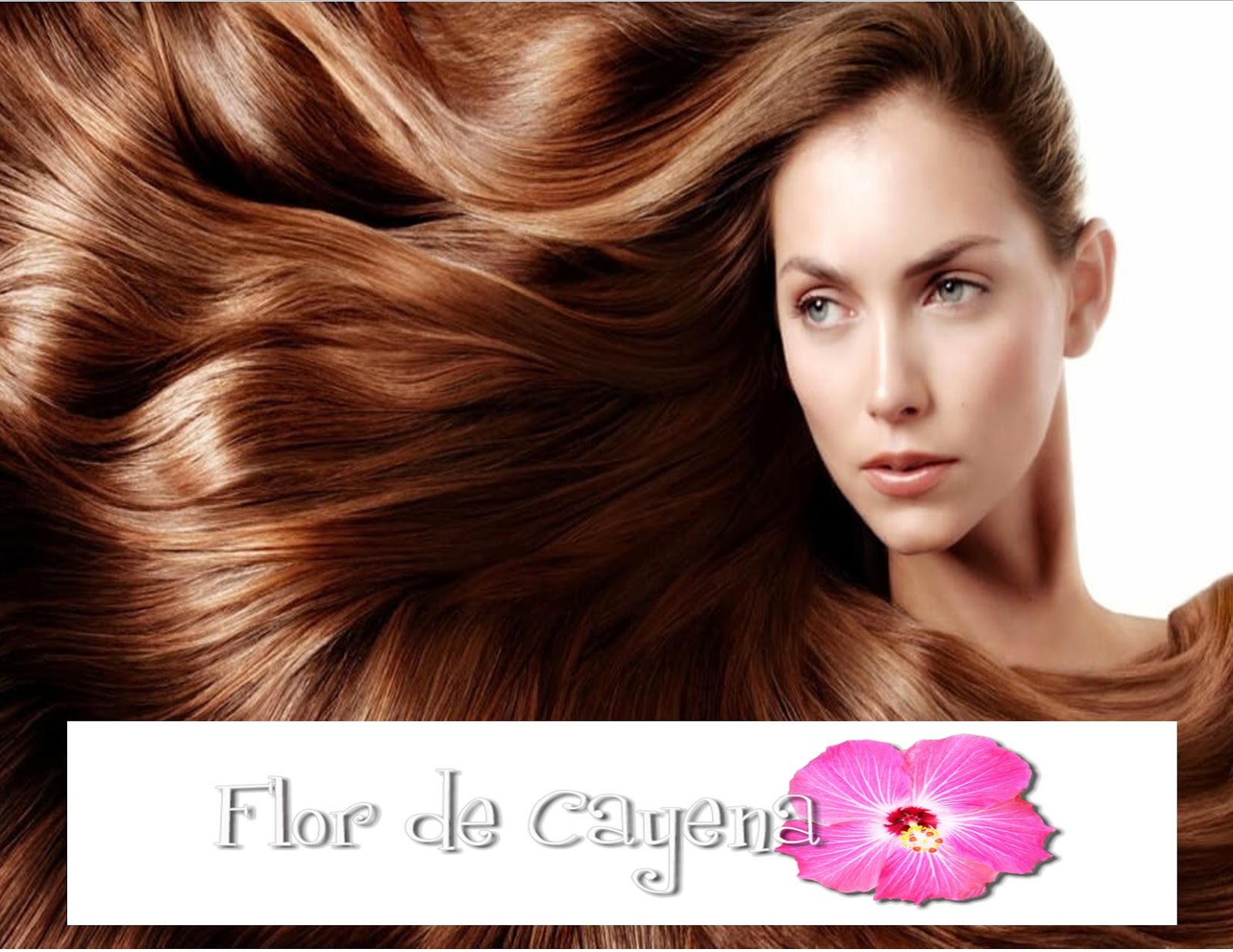 Tesoro del Saber Beneficios para la salud de la Cayena (Hibiscus rosa