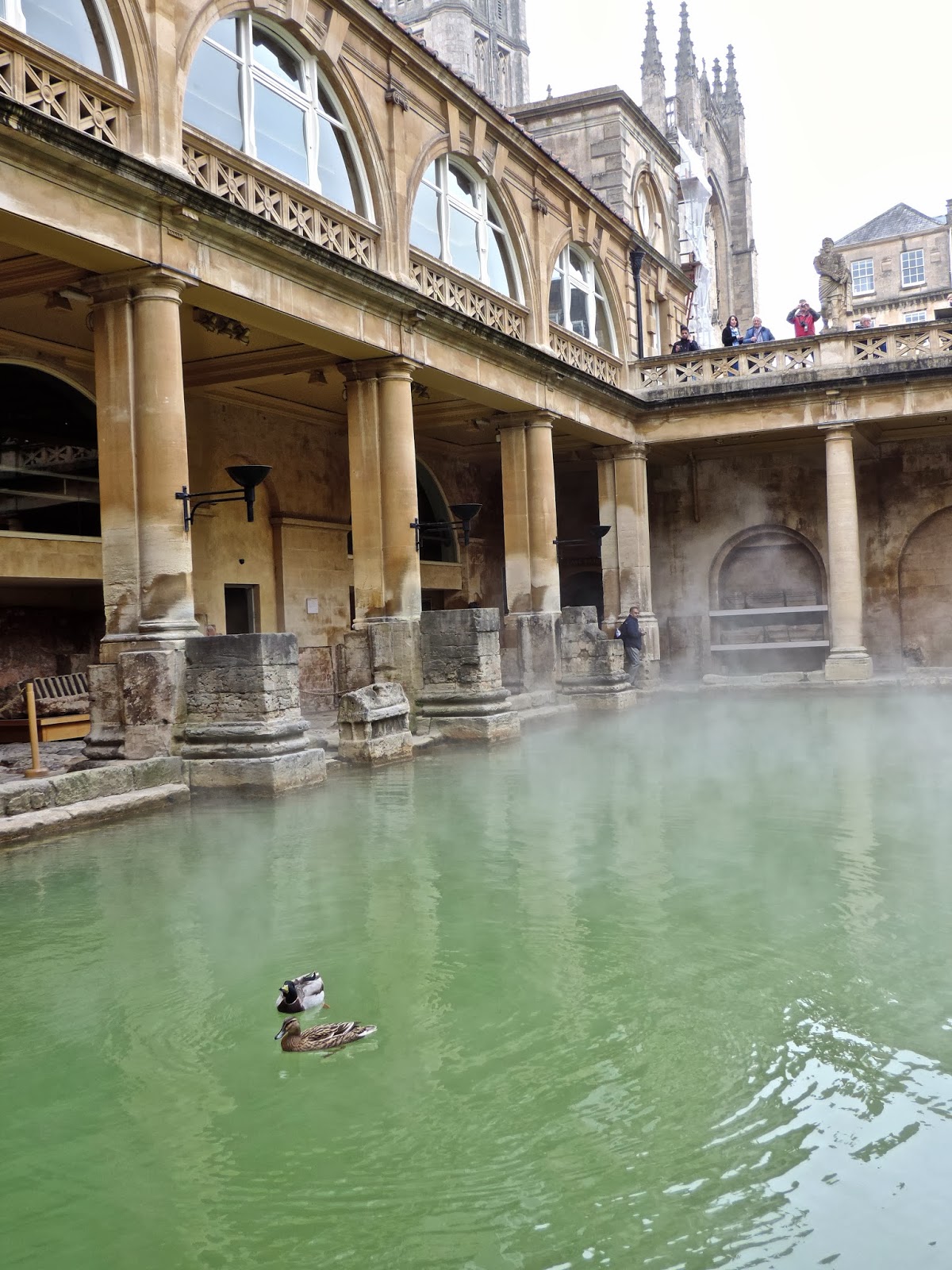 Of Golden Roses The Roman Baths Bath, England