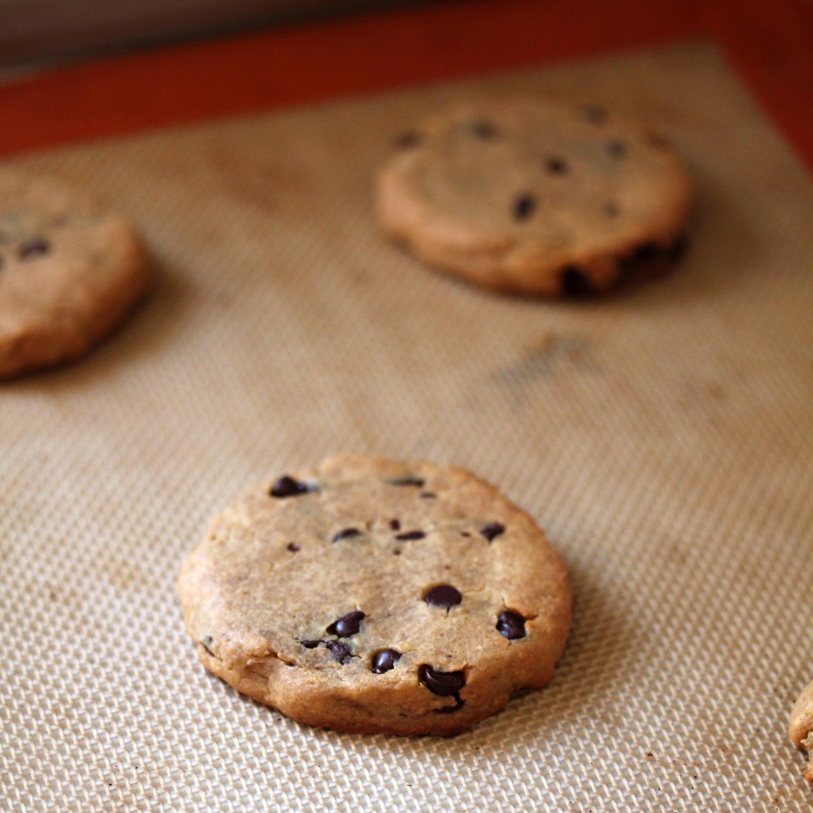 Peanut Butter Chocolate Cookies with a Protein Kick Kitchen Grrrls.