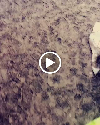 VIKINGS: Vikings: SPOILER behind the scenes post