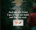 After Run Forestry