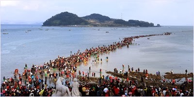 เทศกาลน้ำทะเลแยก (Jindo Sea Parting Festival)