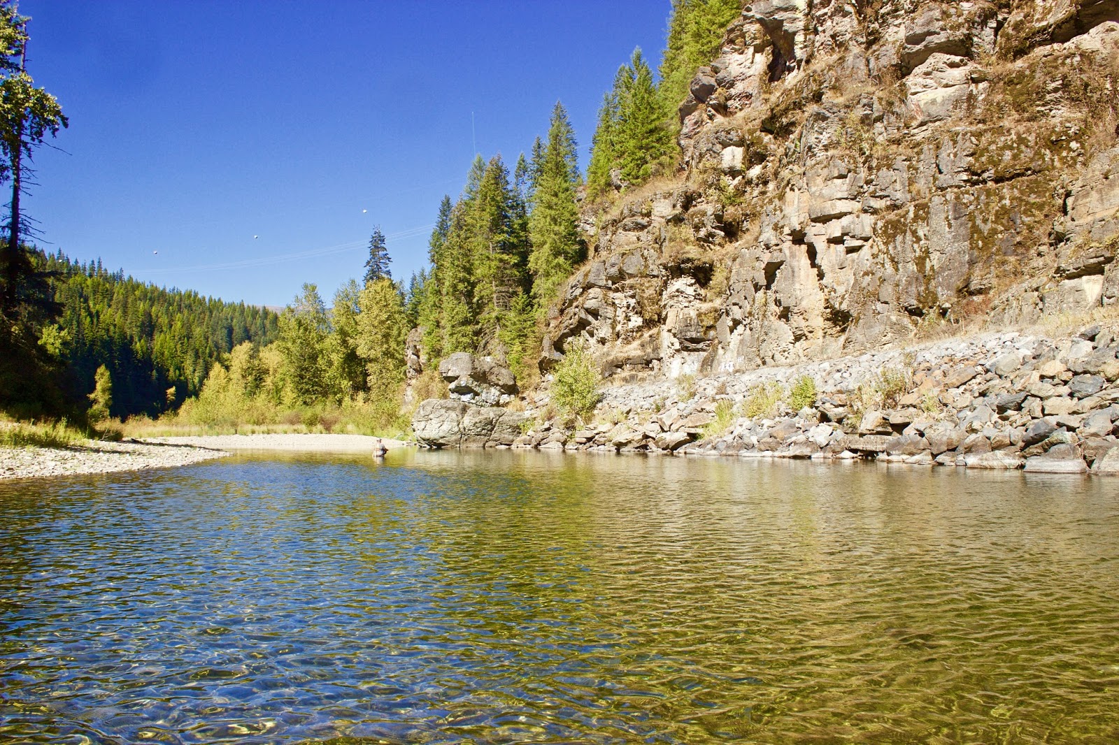 Erik’s Fly Fishing Blog North Fork of the Coeur d'Alene River