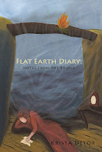 Flat Earth Diary: Notes from the Bridge