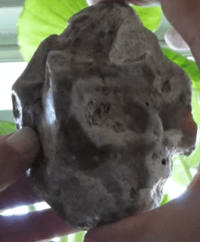 figure stones - eoliths figure stones - eoliths