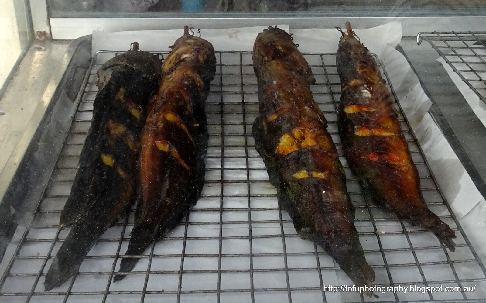 Tofu Photography Grilled catfish in Khao Lak, Thailand