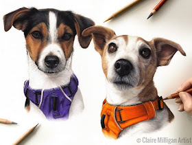 10-Jack-Russell-Terrier-Claire-Milligan-www-designstack-co