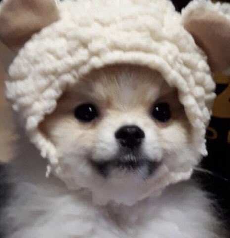 %25EB%258B%25A4%25EC%259A%25B4%25EB%25A1