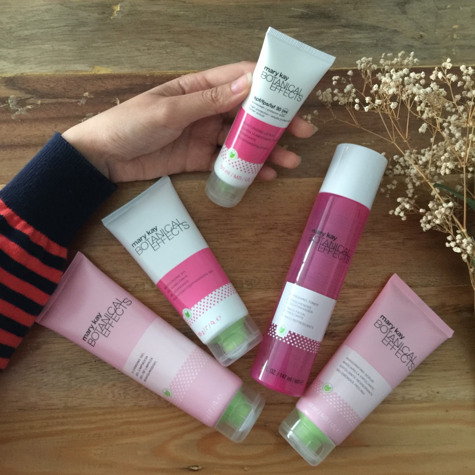 Introducing Mary Kay allNEW Botanical Effects Skin Care