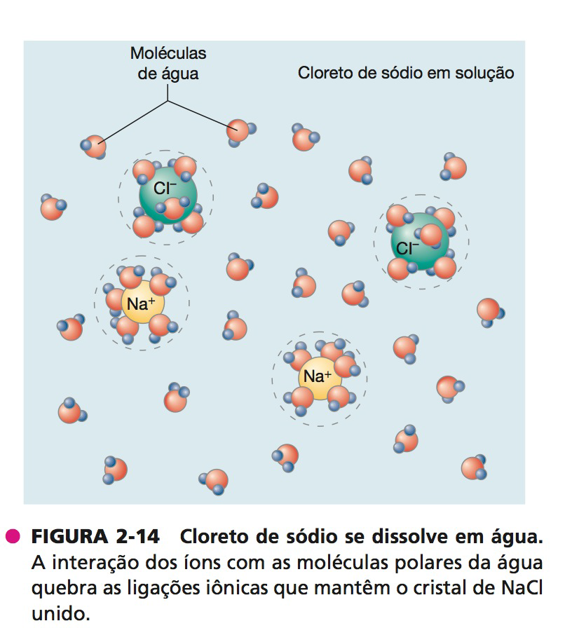 Cloreto de sódio se dissolve em água Cloreto de sódio se dissolve em água
