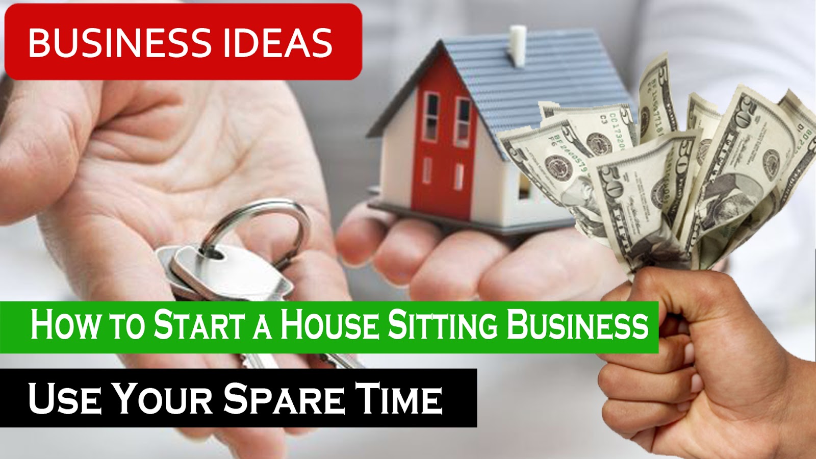 How to Start a House Sitting Business. Easy Ideas