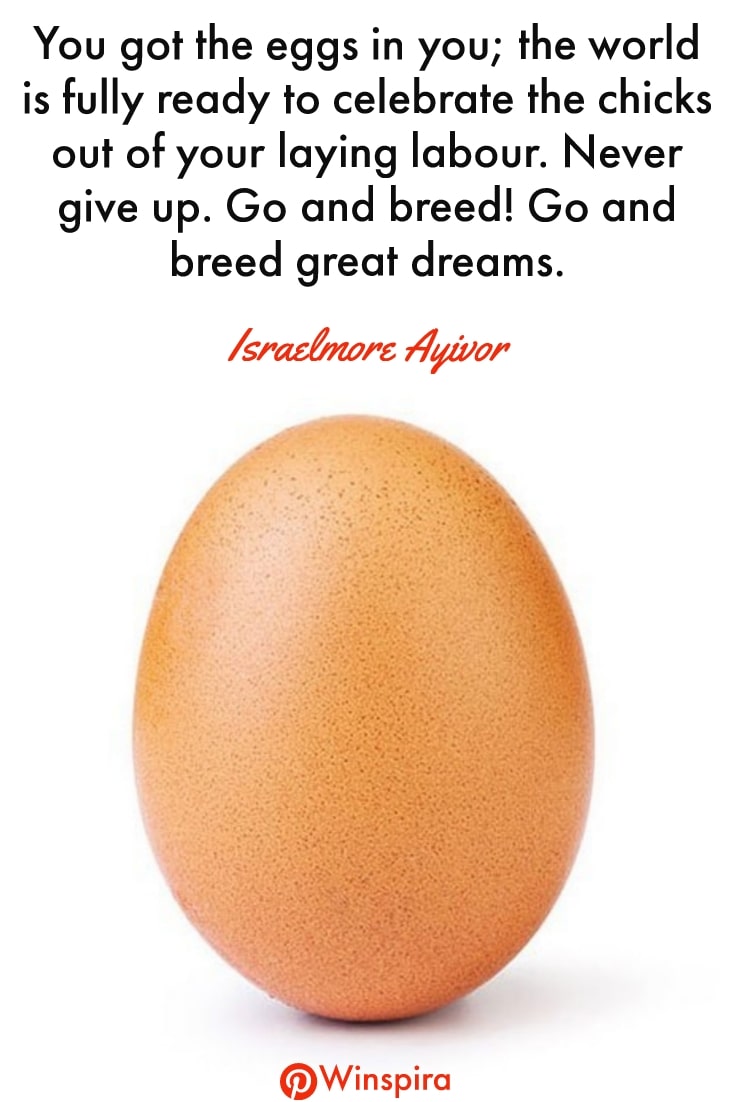 24 Quotes About Ordinary Eggs
