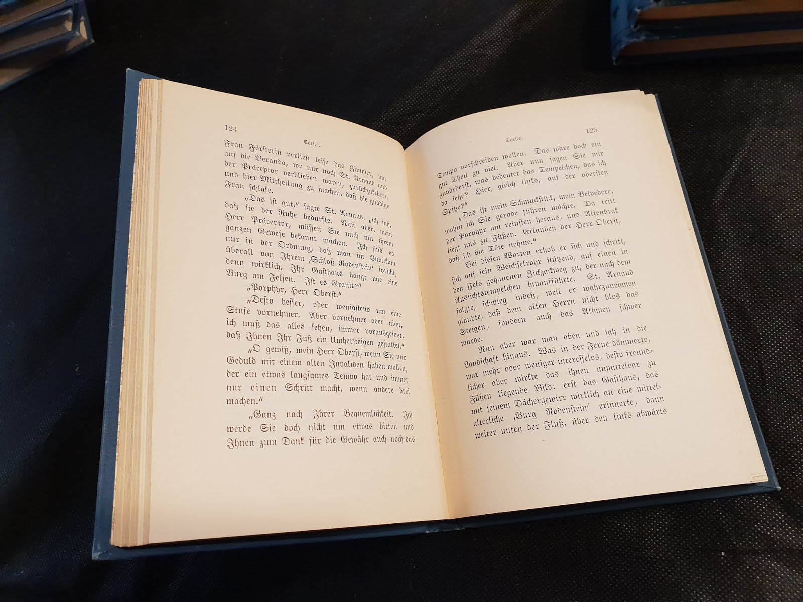 Books Which Deserve A Second Chance Theodor Fontane S