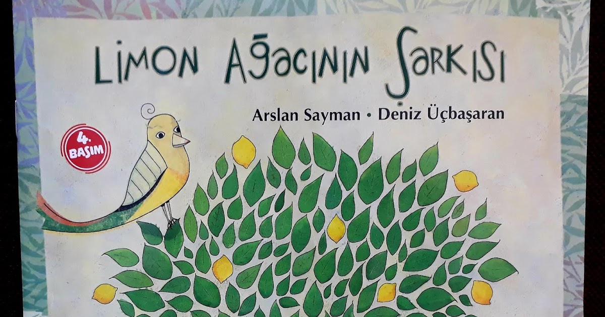 Müzik, Eğitim ve Tasarım Yazıları