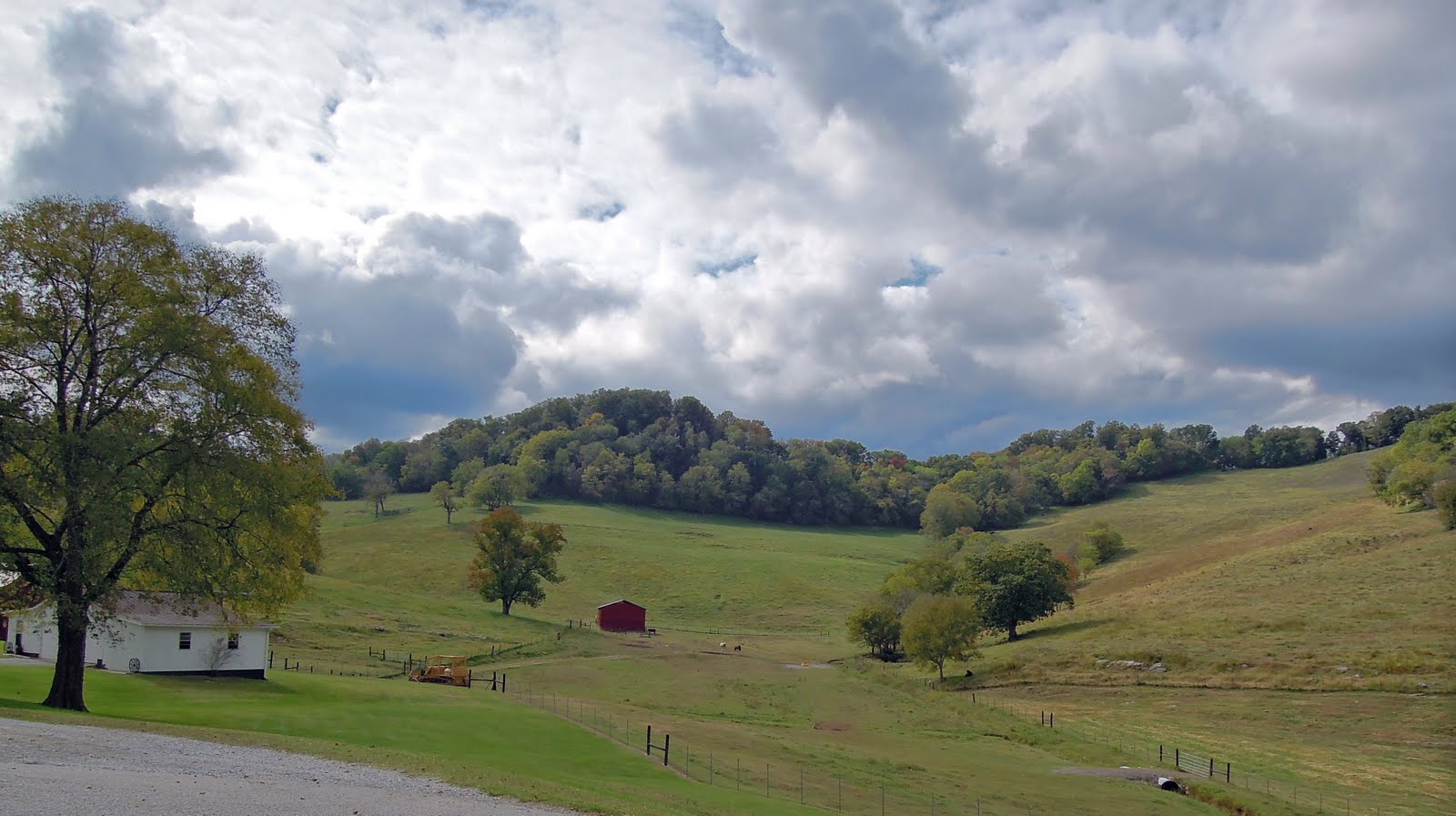 유 Elmwood, Tennessee