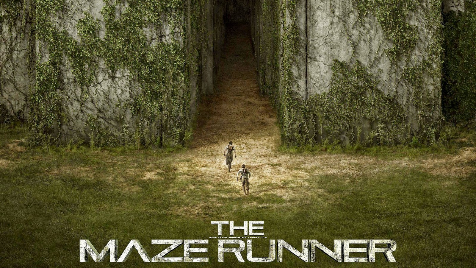The Maze Runner Movie Wallpaper - Chennai Box Office