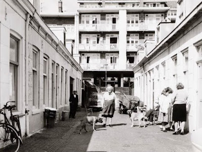 De Hipsekrips, met op het einde de schutting en het poortje naar de Linnaeusparkweg, (foto: geheugen-vanoost)