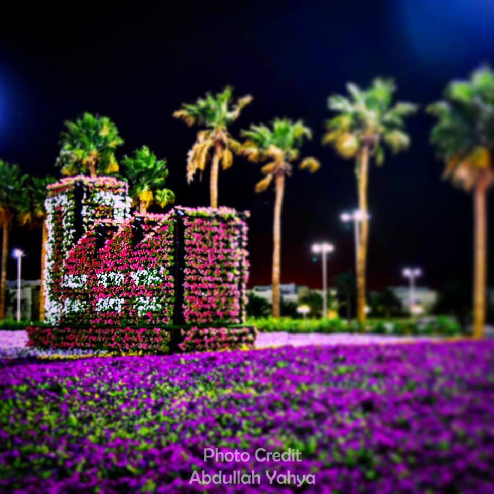 Jeddah Daily Photo Yanbu Flowers Festival 2019 Scheduled