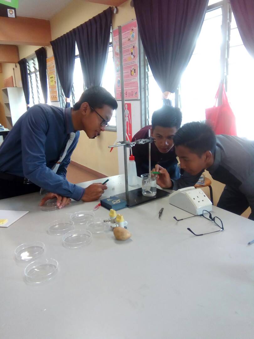 Anna Seonsaengnim Eksperimen bab 3 Bio T4..osmometer & potato strips