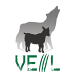 Veil - Tool To Generate Metasploit Payloads That Bypass Common Anti-virus Solutions