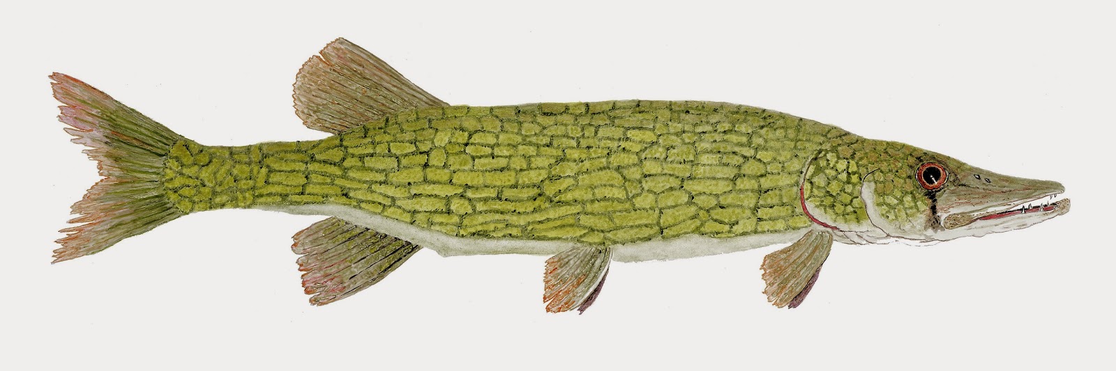 Daily Painters of Pennsylvania Latest in the Pike Family Chain