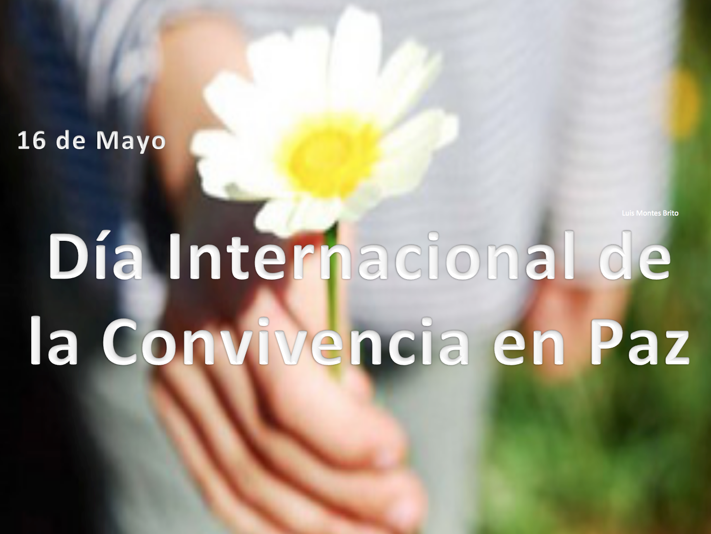 Compartiendo mi opinión Hoy 16 de mayo se celebra el Día Internacional